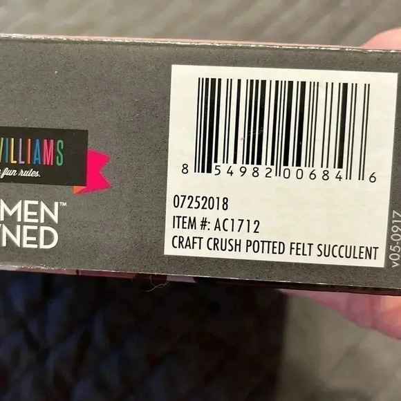 Fun Potted Felt Succulents kit - Picture 4 of 4